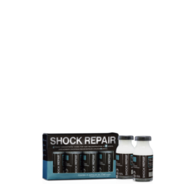 Shock Repair