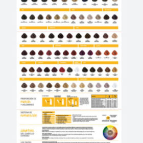 Yellow Carta de Colores
