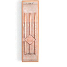 Eye Brush trio
