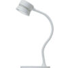 Duet LED Cordless Desk Lamp