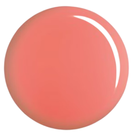Dixie Dawn 164DC