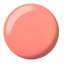 Coral Breeze 209DIVA