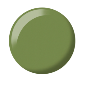 Safari 324DC
