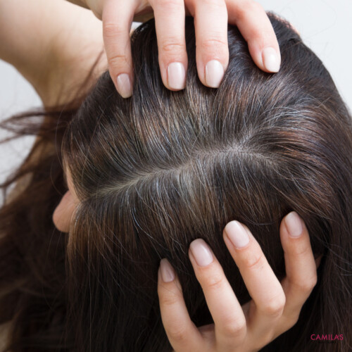 Oxilook Design 2025 11 28T152137.066 Oxilook Design 2025 11 28T152137.066