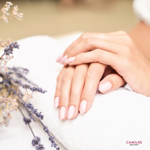 Oxilook Design 2025 12 15T132531.124