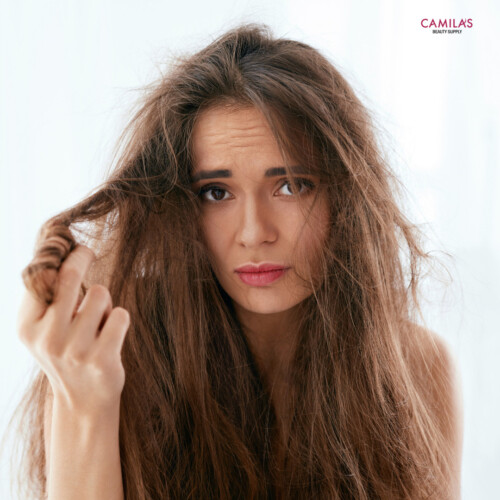 Oxilook Design 2025 12 15T150756.557