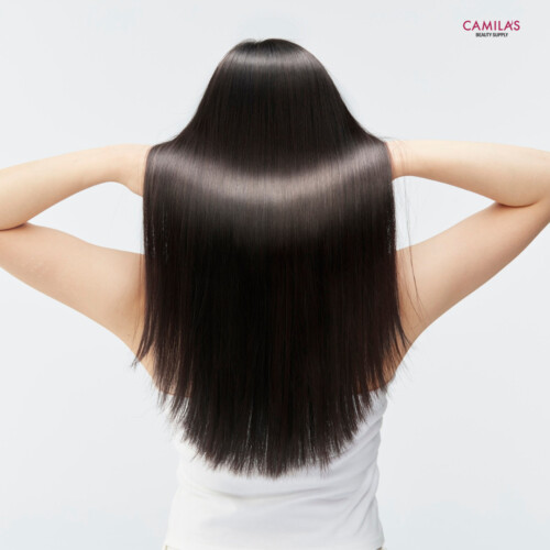 Oxilook Design 2025 12 15T153730.390