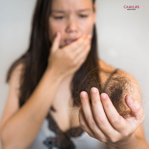 Oxilook Design 2025 12 26T151839.651 Oxilook Design 2025 12 26T151839.651