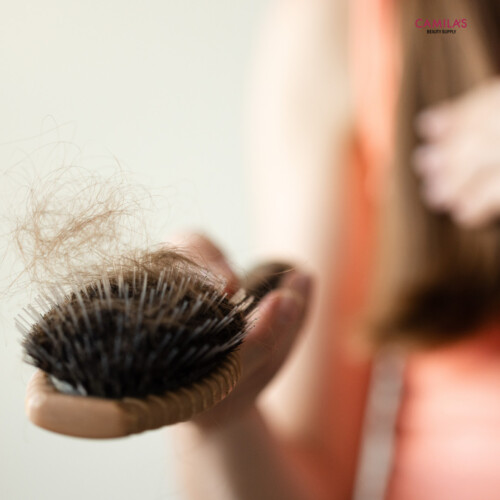 Oxilook Design 2025 12 26T155328.633 Oxilook Design 2025 12 26T155328.633